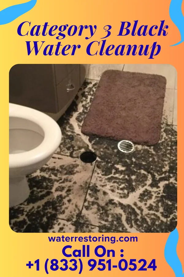 Category 3 Black Water Cleanup in Wauzeka, WI