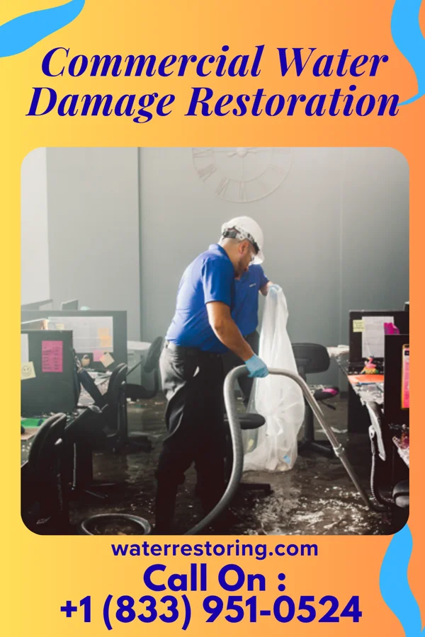 Commercial Water Damage Restoration in Wauzeka, WI