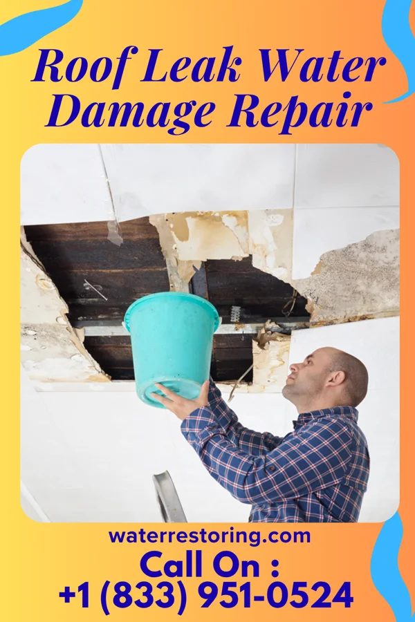 Roof Leak Water Damage Repair in Wauzeka, WI